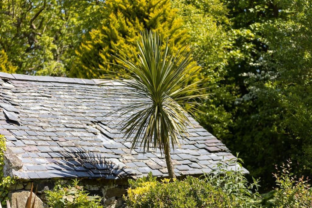 RhiwPlas Newydd With Swimming Pool, Fire Pit, And Log Fires别墅 外观 照片